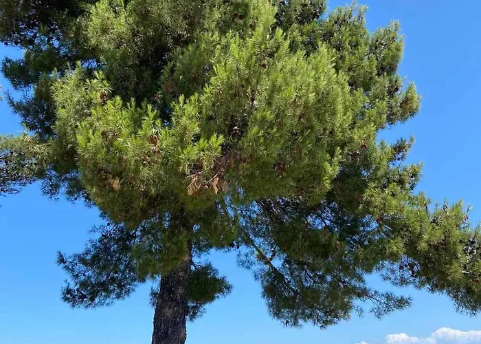 Appartement Lovely 1 - Bedroom Lena *